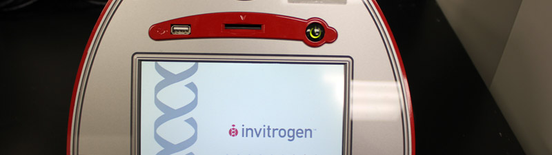 Cell Counter - Countess Automated Cell Counter (Invitrogen)