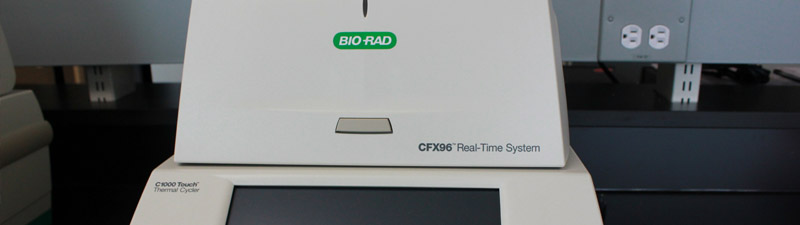 PCR Detection Systems - CFX C1000 Thermal Cyclers with Dual 48/48, CFX96 & CFX384 Modules (Biorad) 